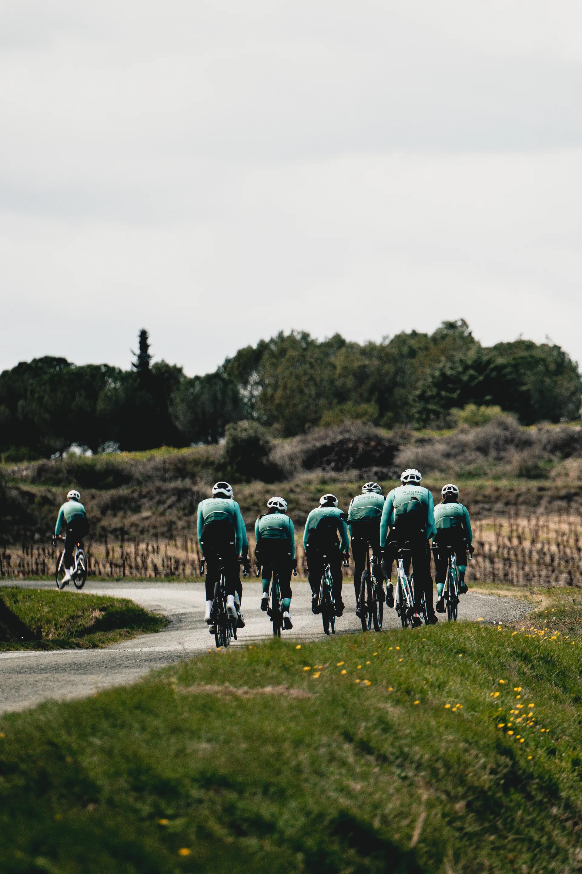Peloton de cyclistes Škoda We Love Cycling sur une route de campagne
